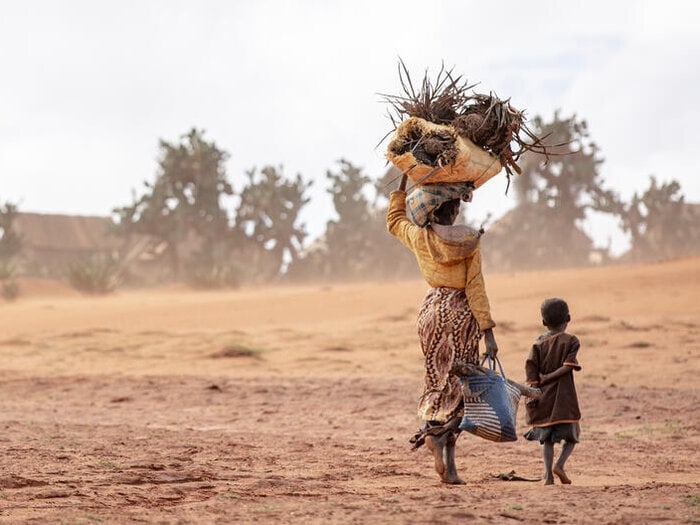Lakota na jugu Madagaskarja je posledica podnebnih sprememb. Foto: WFP
