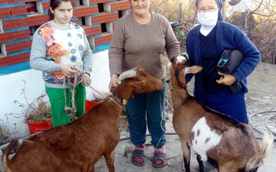 Vabilo na spletno srečanje z misijonarko v Albaniji, sestro Vido Gerkman