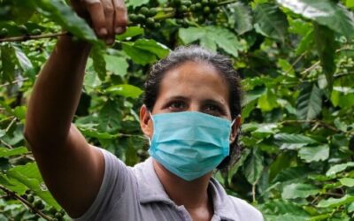 Lokalizacija pomoči v pandemiji covida-19: Izkušnje Caritasa