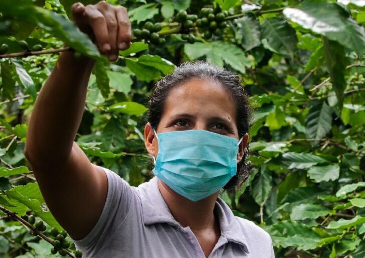 Lokalizacija pomoči v pandemiji covida-19: Izkušnje Caritasa